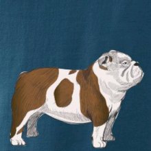 Vintage English bulldog