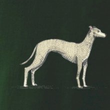 Vintage Whippet