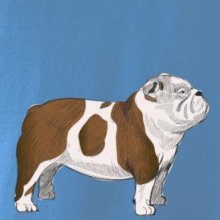 Vintage English bulldog