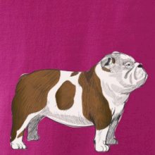 Vintage English bulldog