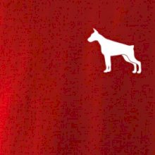 Doberman ikona prsník