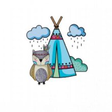 Indiánska sova Indiánska sova