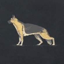 Vintage German shepherd