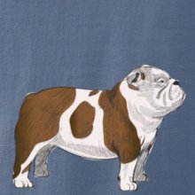 Vintage English bulldog