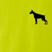Doberman ikona prsník