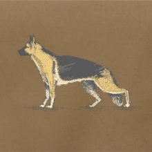 Vintage German shepherd