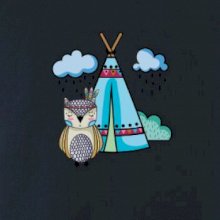 Indiánska sova Indiánska sova