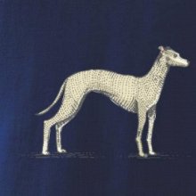 Vintage Whippet