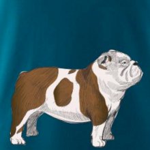 Vintage English bulldog