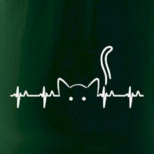 Mačka EKG