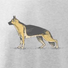 Vintage German shepherd