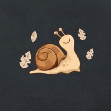 Slimák na jeseň Slimák na jeseň