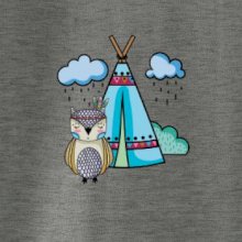 Indiánska sova Indiánska sova