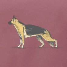 Vintage German shepherd