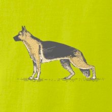 Vintage German shepherd