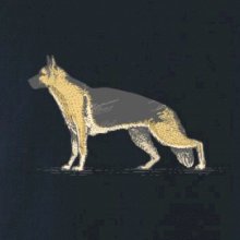 Vintage German shepherd