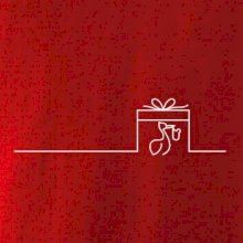 Těhotenství - dárek Těhotenství - dárek