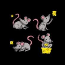 Myš a sýr Myš a sýr