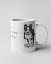 Hrnek - Border kolie if someday you miss me will you tell me