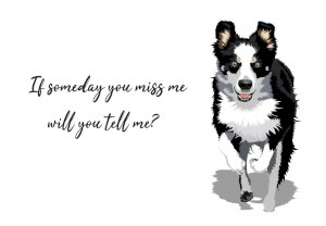 Hrnek - Border kolie if someday you miss me will you tell me