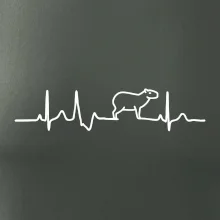 Ekg Capybara Ekg Capybara