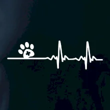 Veterinár EKG Veterinár EKG