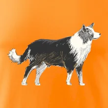 Border kólia kreslená