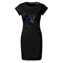 Čierny Labrador fotka