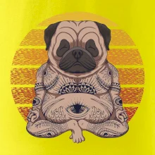 Yoga meditace - pug