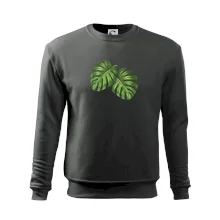 Monstera - dva listy Monstera - dva listy