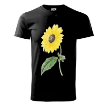 Slnečnica otočená