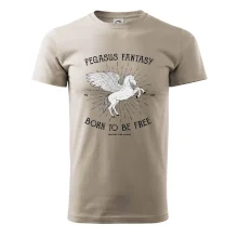 Pegasus fantasy Pegasus fantasy