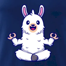 Yoga meditácie - lama