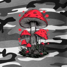 Goblincore Cottagecore Mushrooms Goblincore Cottagecore Mushrooms