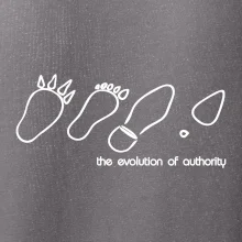Evolution of authority