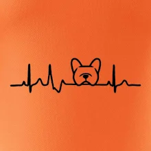 EKG Francúzsky buldoček hlava