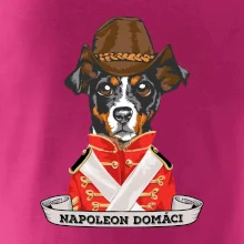 Napoleon domáci kríženec