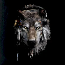 Vlk indián so slúchadlami