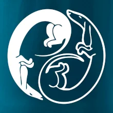 Jazvečíky - Jin jang