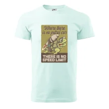 Korytnačka na cestách