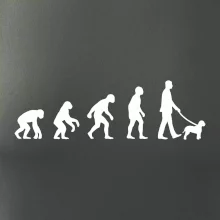 Lagotto romagnolo Evolúcia