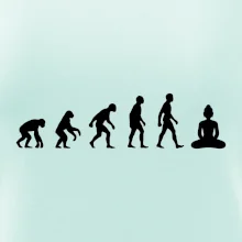 Evoluce budha Evoluce budha