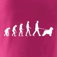 Evolúcia pes Briard