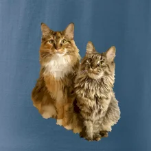 Mačky vectorizované (Moňas)