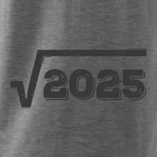 Narodeniny odmocniny 45