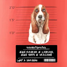 Baset - lump a darebák   Baset - lump a darebák