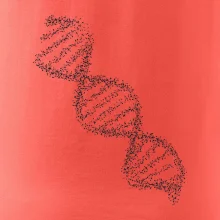 DNA čiernobiele DNA čiernobiele