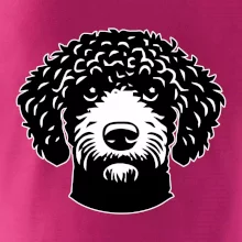 Lagotto romagnolo hlava na prsníku