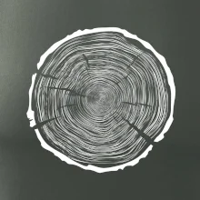 Letokruhy 100 bez veku Letokruhy 100 bez veku