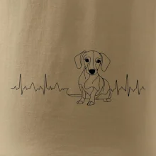 EKG krivka jazvečík